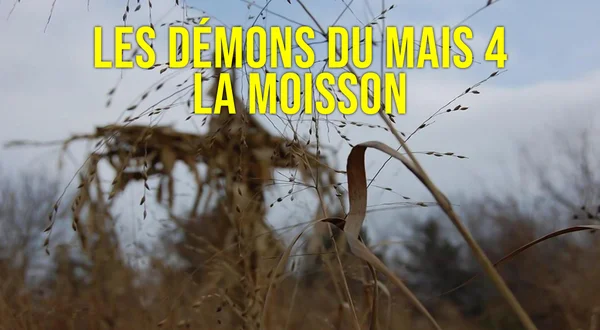 Les démons du mais 4: la moisson