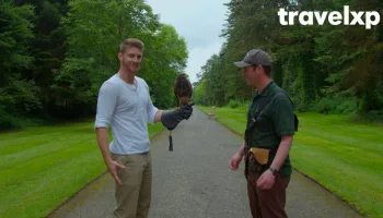 Off the Grid Ireland