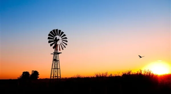 Por el campo