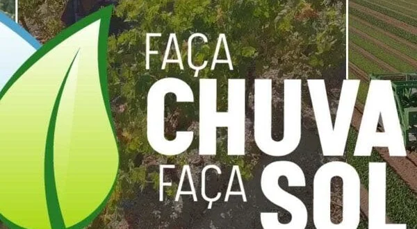 Faça chuva faça sol