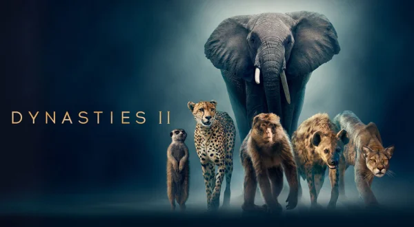 Dynasties II