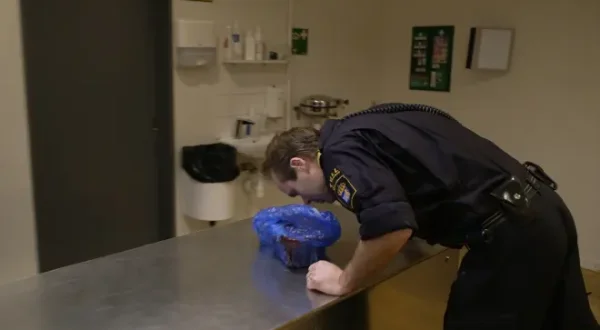 Border Control: Schwedens Grenzschützer