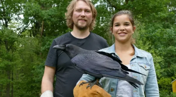 Anna und die wilden Tiere