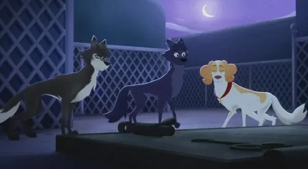 Belfort & Lupin