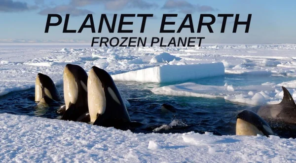 Planet Earth: Frozen Planet