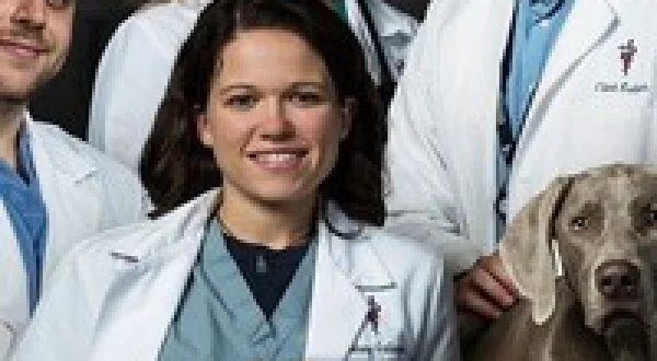 Life At Vet University