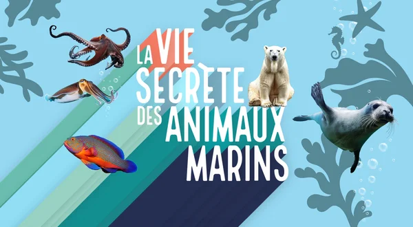 La vie secrète des animaux marins