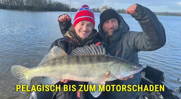 Pelagisch bis zum Motorschaden