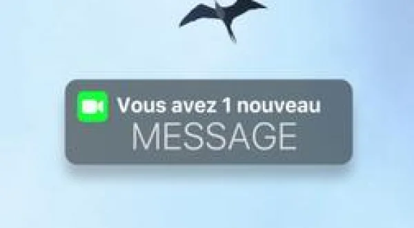 Vous avez un nouveau message
