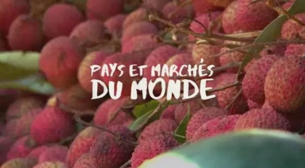 Pays et marchés du monde