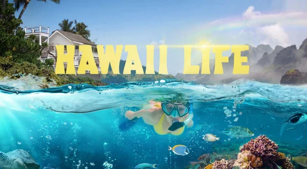 Husjakt på Hawaii