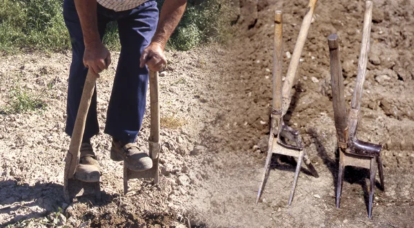 La laya agrícola. Forjado artesanal y fabricación de esta herramienta de labranza paso a paso
