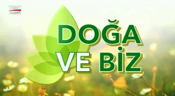 Doğa ve Bi̇z