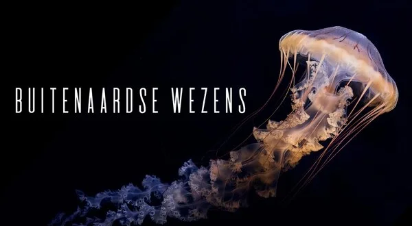 Buitenaardse Wezens