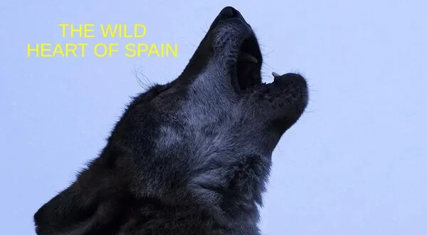 The Wild Heart of Spain