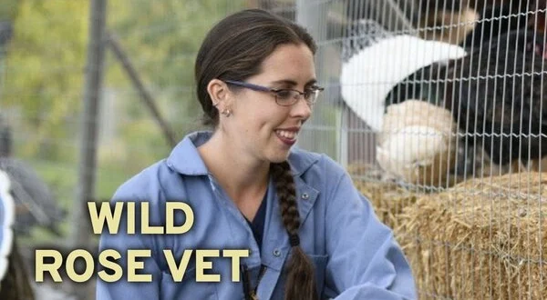 Wild Rose Vet