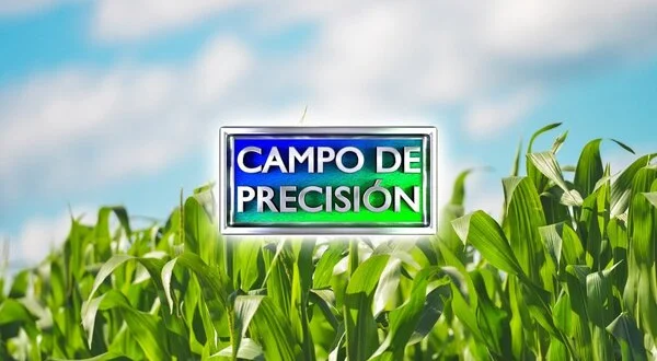 Campo de precisión