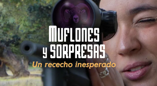 Muflones y sorpresas un rececho inesperado
