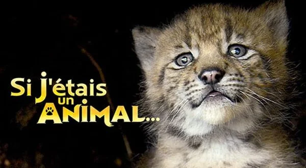 Si j'étais un animal