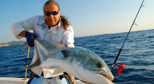 Mallorca - Big Game vor unserer Haustür