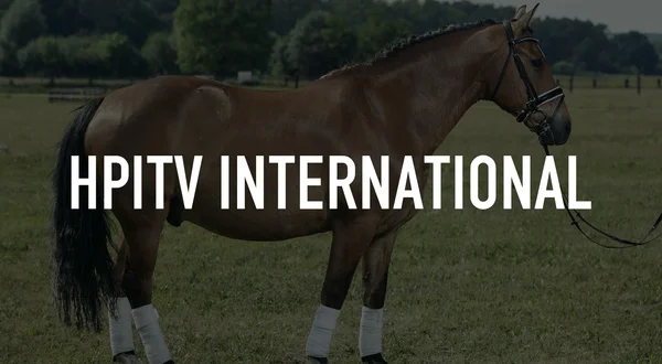 HPItv International