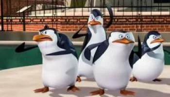 Les Pingouins de Madagascar