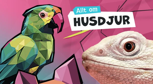 Allt om husdjur (meänkieli)