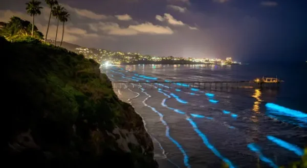 San Diego: Natura selvaggia in città