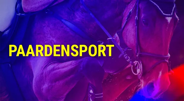 Paardensport