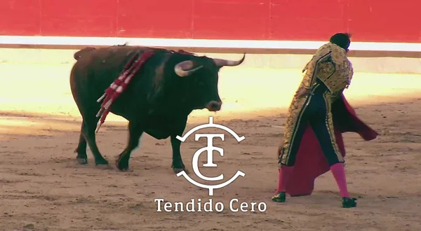 Tendido cero