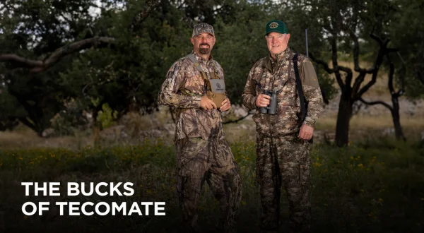 The Bucks of Tecomate