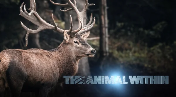 The Animal Within