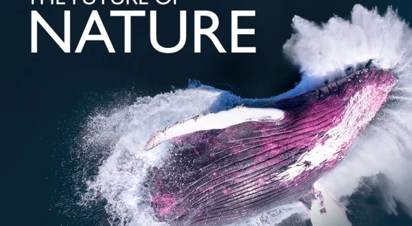 The Future of Nature