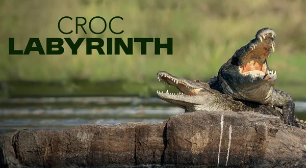 Croc Labyrinth