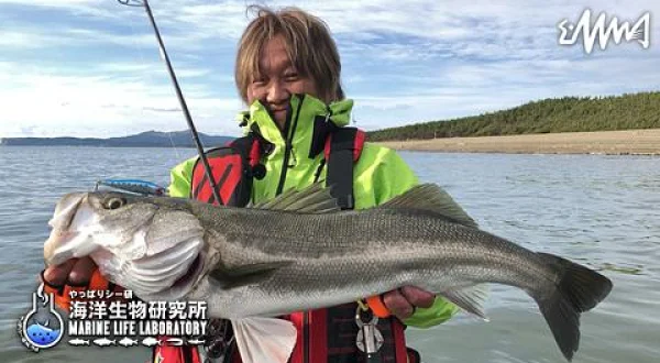 やっぱりシー研 海洋生物研究所 20 秋田シーバス