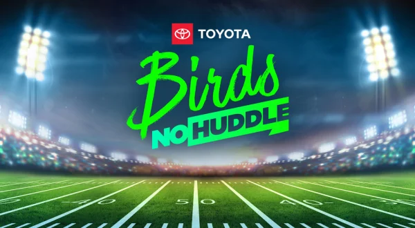 Live: Birds No Huddle