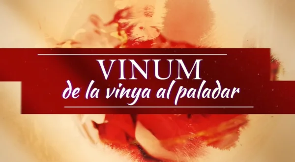 Vinum, de la vinya al paladar