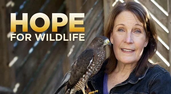 Hope for Wildlife