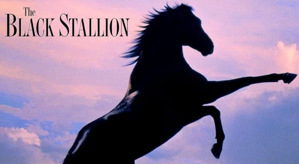 The Black Stallion