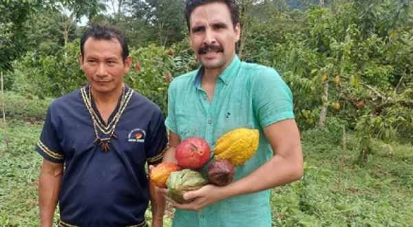 La ruta del cacao