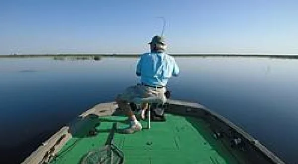 Okeechobee Frogging