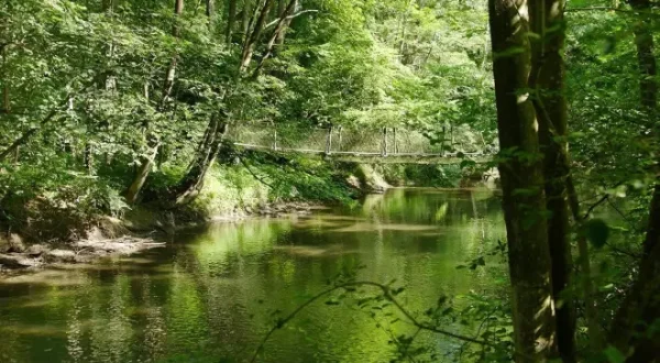 Saar Natur