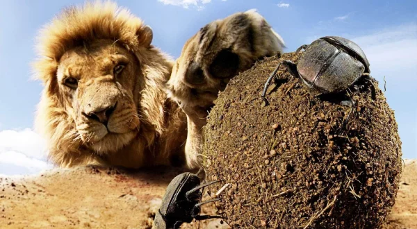 Hidden Kingdoms – Im Königreich der kleinen Tiere