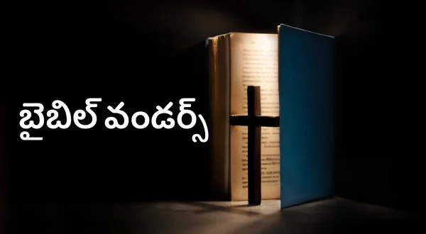 Bible Wonders