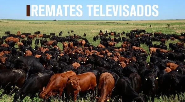 Remates