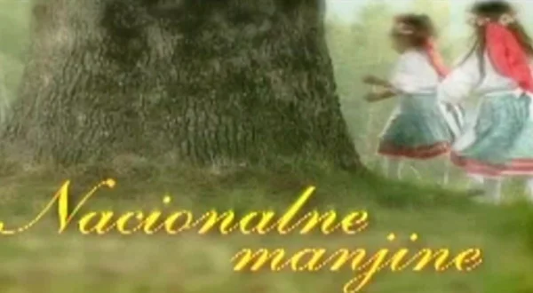 Nacionalne manjine