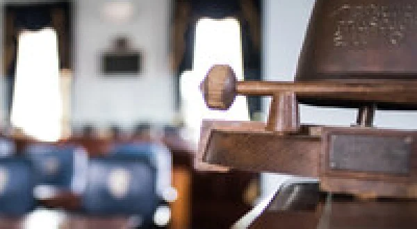 Seanad Eireann Replay