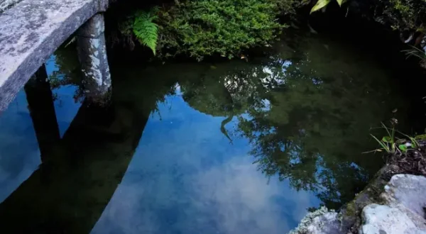Time-Lapse Japan