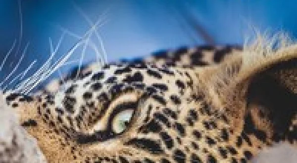 Africa's Hidden Wonders
