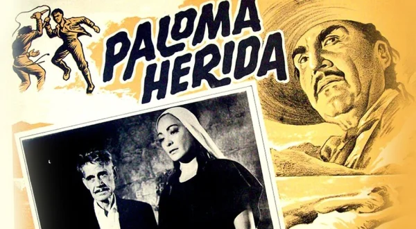 Paloma herida